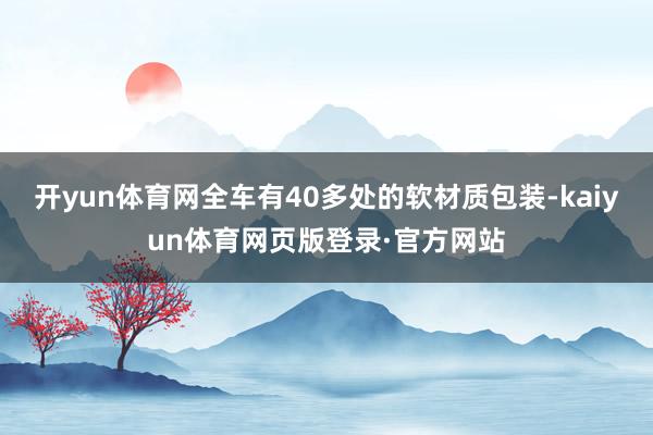 开yun体育网全车有40多处的软材质包装-kaiyun体育网页版登录·官方网站