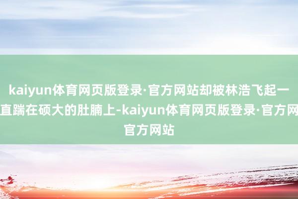 kaiyun体育网页版登录·官方网站却被林浩飞起一脚直踹在硕大的肚腩上-kaiyun体育网页版登录·官方网站