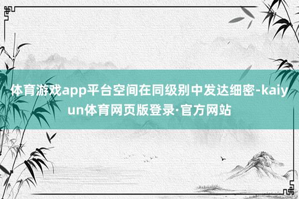 体育游戏app平台空间在同级别中发达细密-kaiyun体育网页版登录·官方网站